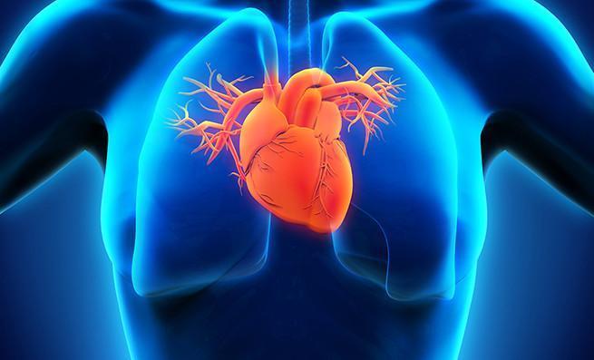 Cholesterol – Do I need to worry or not? Depends…know YOUR risk