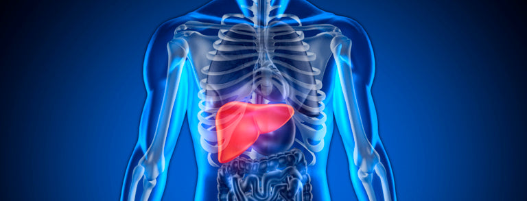 New Liver Health Formula due in spring!