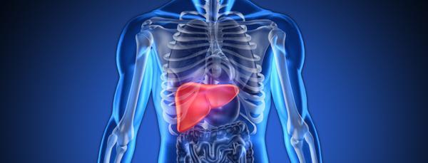 New Liver Health Formula due in spring!