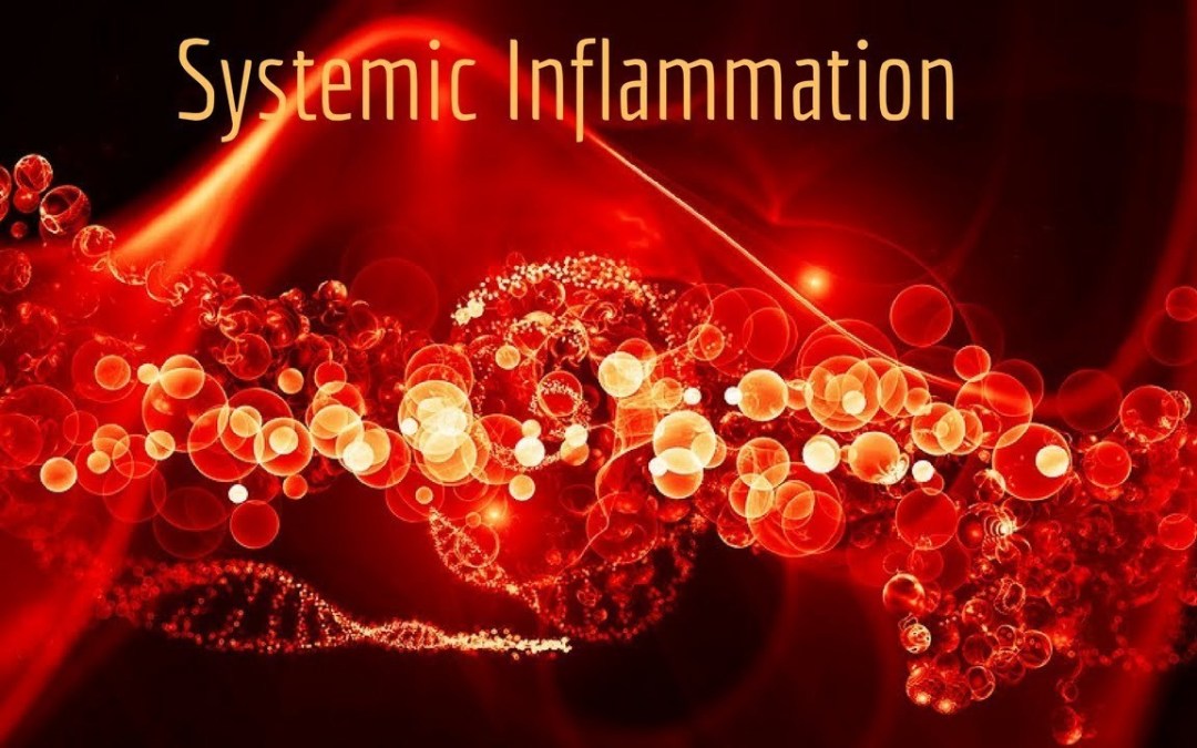 Inflammation 101: Discovery, Prevention, and Treatment